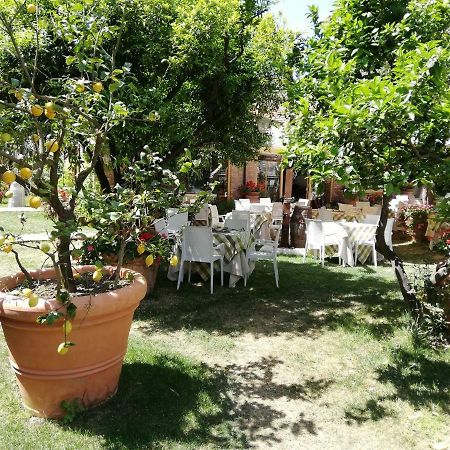 Villa Esmeralda Amantea Exteriör bild